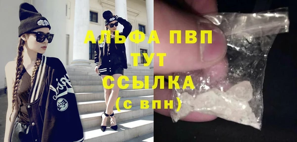 стаф Гусев