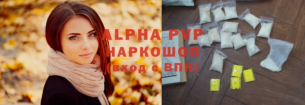 стаф Гусев