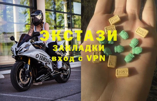 стаф Гусев