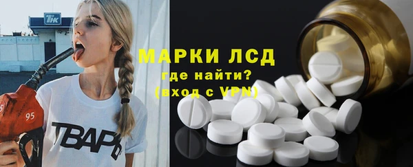 стаф Гусев