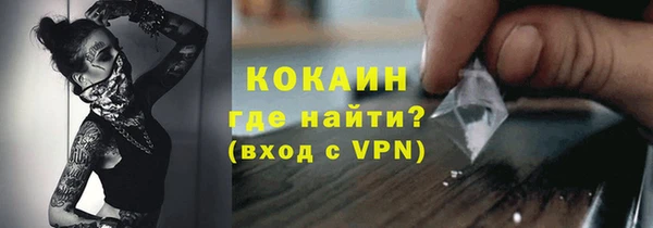 стаф Гусев