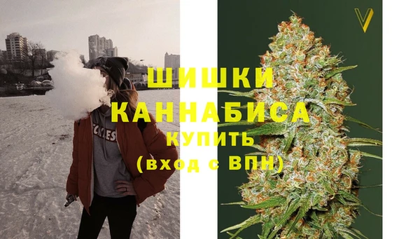 стаф Гусев