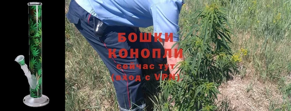 jwh Гусь-Хрустальный