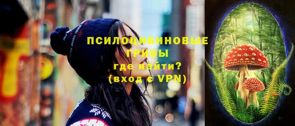 стаф Гусев