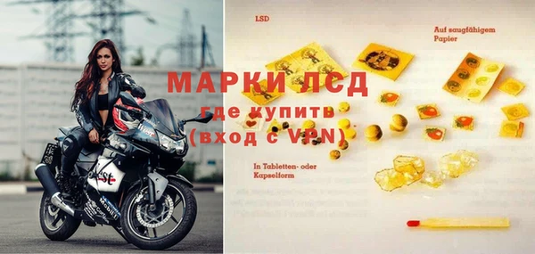 стаф Гусев