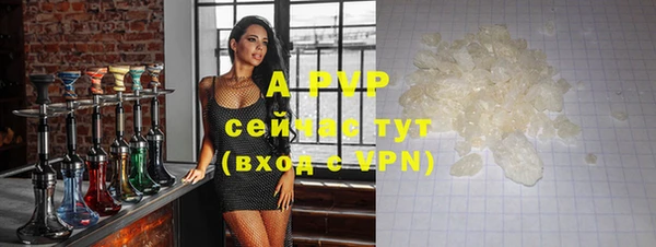 ECSTASY Гусиноозёрск